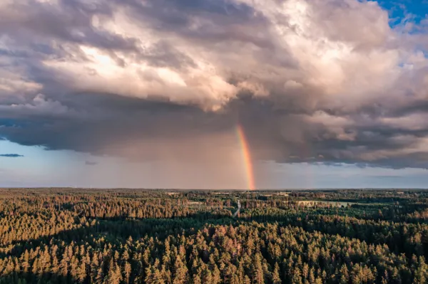 vilnisphoto — Photographer, Rīga