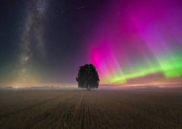 latvianphotographer — Photographer, Bauska